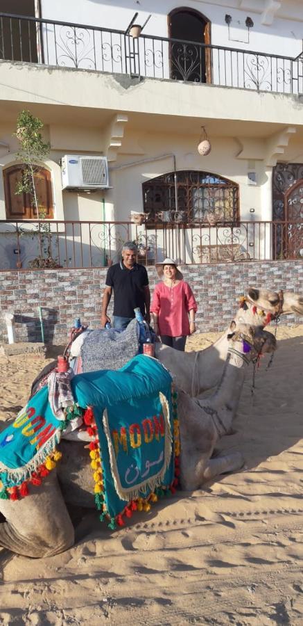 Habibi Nubian Guest House-Nubian Hospitality 阿斯旺 外观 照片